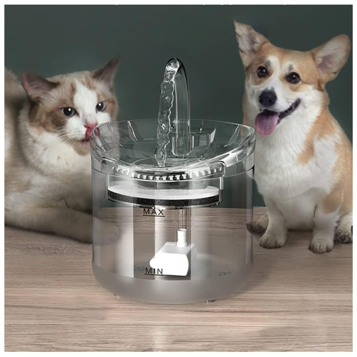 Fuente De Agua Transparente para Mascotas 1.6 L